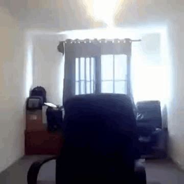 You Fuck You Fuck Hahaha Discover Share Gifs