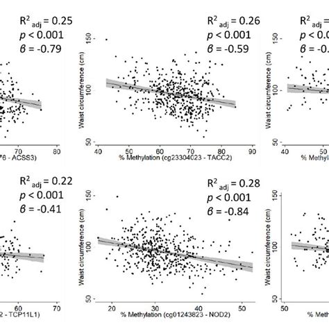 Linear Regression Graphs Adjusted By Sex And Age Representing The Download Scientific Diagram