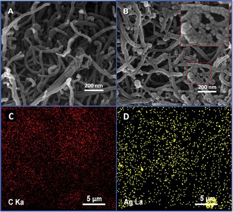 Fesem Images Of A Cnt And B Agchit Cnt Edx Elemental Mapping Of