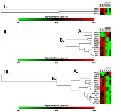 Clustergram Obtained After Hierarchical Clustering Of Gene Expression