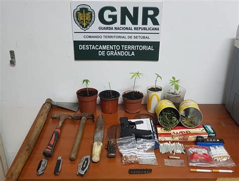 Dianafm Homem Detido Por Tr Fico E Posse De Armas Proibidas Em Gr Ndola