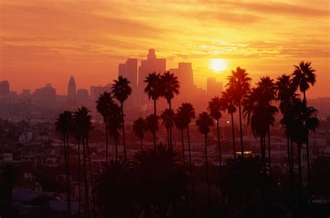 HD wallpaper: palm tree, city, the city, USA, Los Angeles, California ...