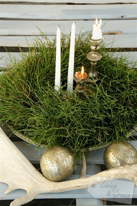 Kranz Aus Heidelbeerkraut Christmas Advent Wreath Happy Christmas