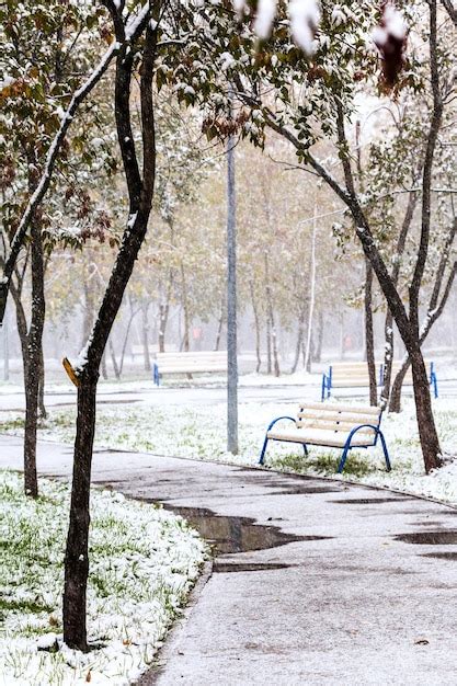 Premium Photo | First snow in city park in autumn