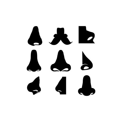human nose illustration set creative design  vector art  vecteezy