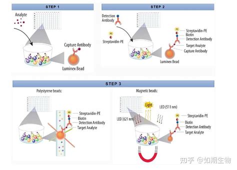 Luminex 液相芯片技术服务 知乎