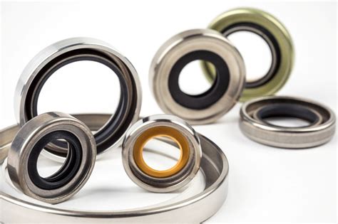 Ptfe Lip Seal