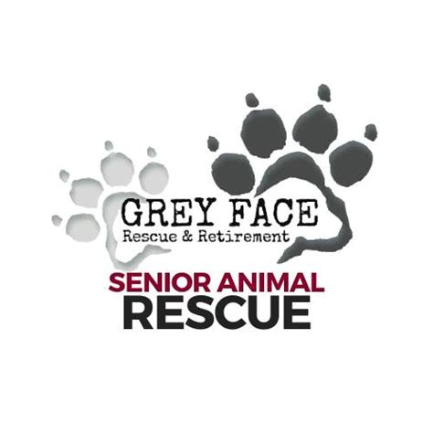 Grey Face Rescue And Retirement Saint Joseph Mn