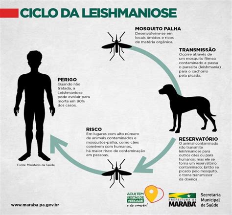 A Semana Nacional De Controle E Combate Leishmaniose