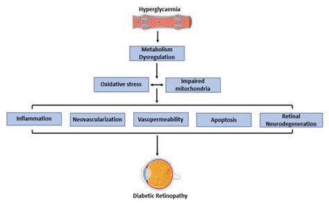 Sex Related Effects Of Gut Microbiota In Metabolic Syndrome Related Diabetic Retinopathy