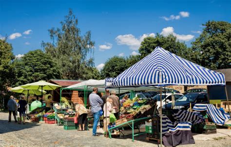 Rolniczy Handel Detaliczny Kompendium Wiedzy Kalendarzrolnikow Pl