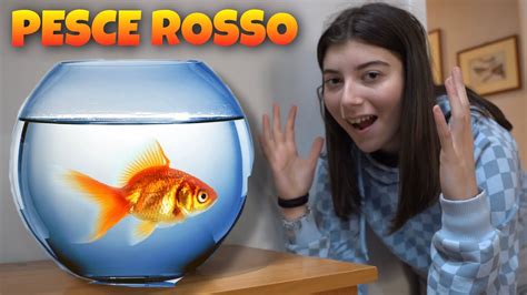 REGALO A MIA SORELLA ELENA UN PESCIOLINO ROSSO YouTube