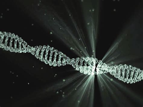 L evoluzione umana nuove scoperte sul DNA rivelano un origine più