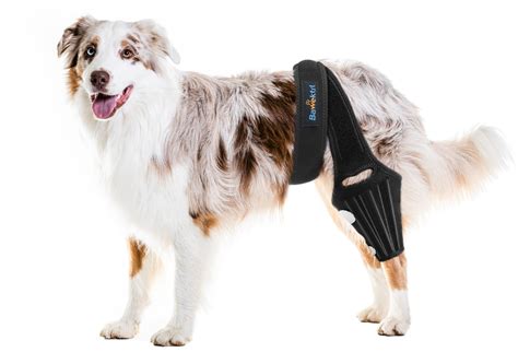 Dog Knee Brace for Back Leg,Cruciate Ligament Care Knee Brace for Dogs