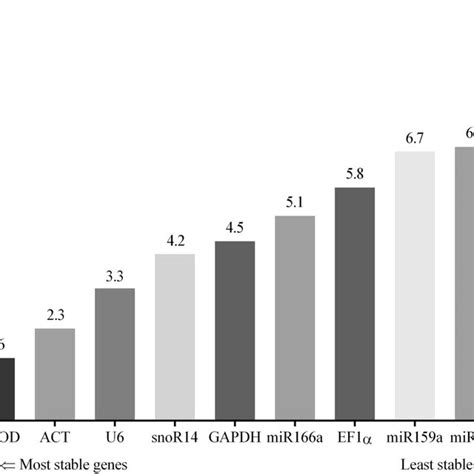 Overall Expression Stability Ranking Of The Candidate Reference Genes