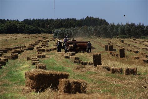 Sag Biob O Llama A Agricultores As Postular A Concurso Del Programa