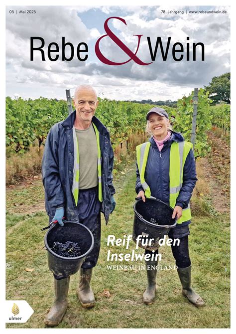 Was tun gegen Falschen Mehltau im Bio-Weinbau? - Rebe & Wein