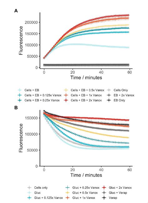 Vanoxerine Inhibits The Efflux Of Ethidium Bromide From M Smegmatis