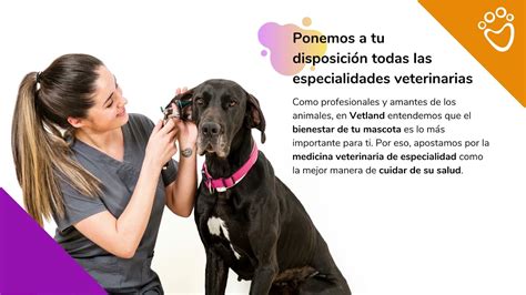 Especialidades Veterinarias Vetland Youtube