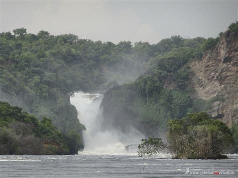 Murchison Falls From The Bottom Gabrielas Travel Blog And Tips
