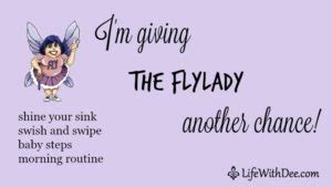 im giving  flylady  chance life  dee
