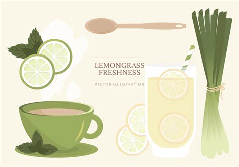 Lemongrass Vector Illustration 121382 Vector Art At Vecteezy