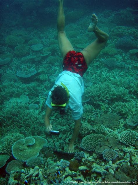 Snorkeling in Fiji along the coral reefs | HI Travel Tales