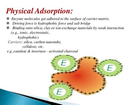 Immobilization Of Enzymes