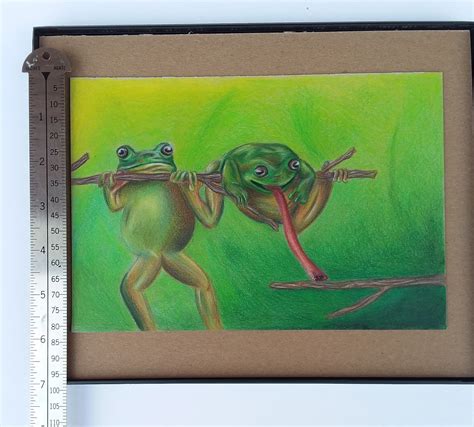 Original Frog Colored Pencil Drawing Colored Pencil Frog - Etsy