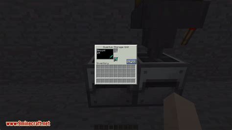 Quantum Storage Mod 1165 1152 Deep Storage Unit Mc Modnet