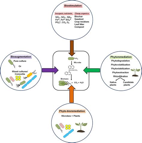 Frontiers In Bioengineering And Biotechnology On Twitter New Research