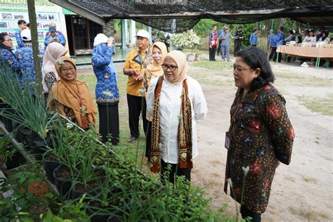 Dorong Ketahanan Pangan Keluarga Bidang V OASE KIM Panen Sayur Organik