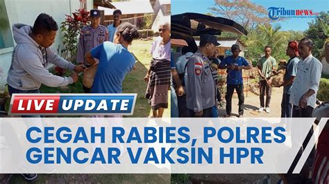 Imbas Meningkatnya Kasus Rabies Polres Sikka Gelar Vaksinasi Massal