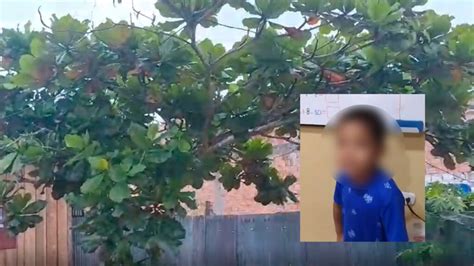 Loreto niño de 7 años murió tras caerse de un árbol de 10 metros de