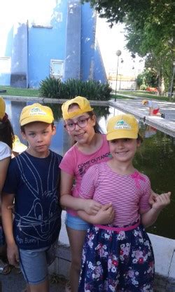 A Minha Escola Amarela Projeto Eco Escolas Rota Pela Floresta