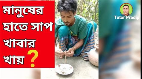 মানুষের হাতে সাপ খাবার খাচ্ছে Snake Eating Fish Youtube