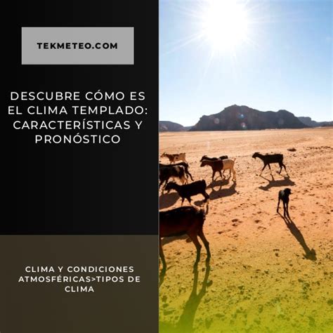 Climas En España Clasificación Y Características Detalladas Tekmeteo