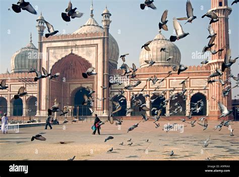 Kali Masjid Immagini E Fotografie Stock Ad Alta Risoluzione Alamy