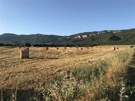 Cifras de la PAC 2023 Unos 650 000 agricultores y ganaderos españoles