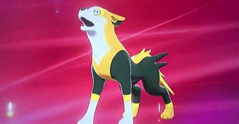 nicknames  boltund ranked