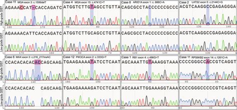 Representative Differential Oncogenic Mutations Identified In