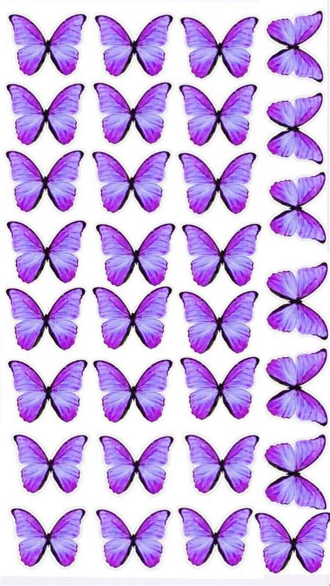 Purple Butterflies Are Arranged In Rows On A White Background