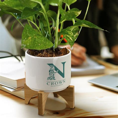 Trends Planter With Bamboo Base