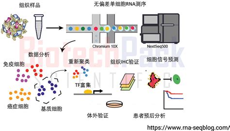 X Genomics