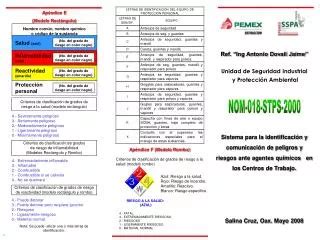 PPT NORMA Oficial Mexicana NOM 006 STPS 2000 PowerPoint Presentation