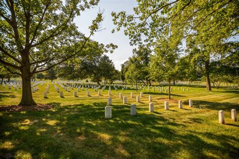 A Guide To Green Funerals