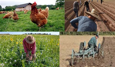 farming work names thefarmlivingcom