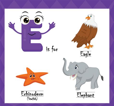 Letter E Vector Alphabet E For Eagle Echinoderms Starfish Elephant