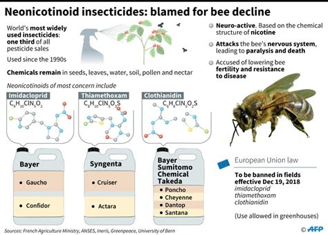 Bees Get Hooked On Harmful Pesticides Cgtn