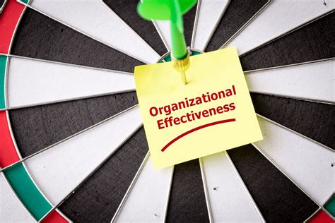 5 Steps To Maximize Organizational Effectiveness